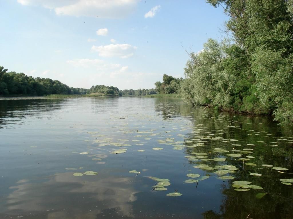 Дом у реки Сож. Хутор. Старые Яриловичи.