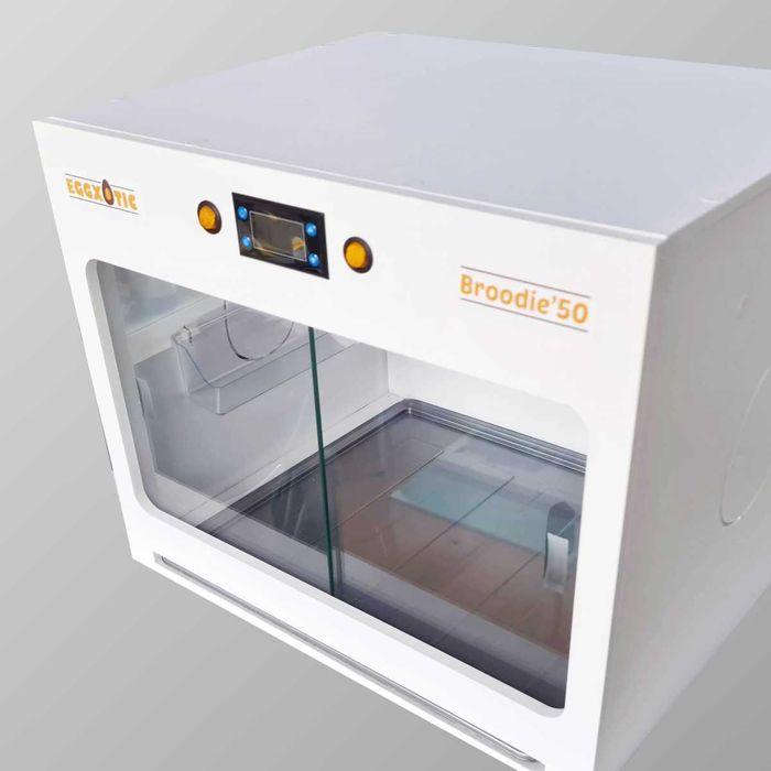 Criadeira de Aves criação à mão, maternidade c/ LED e humidade (Novas)