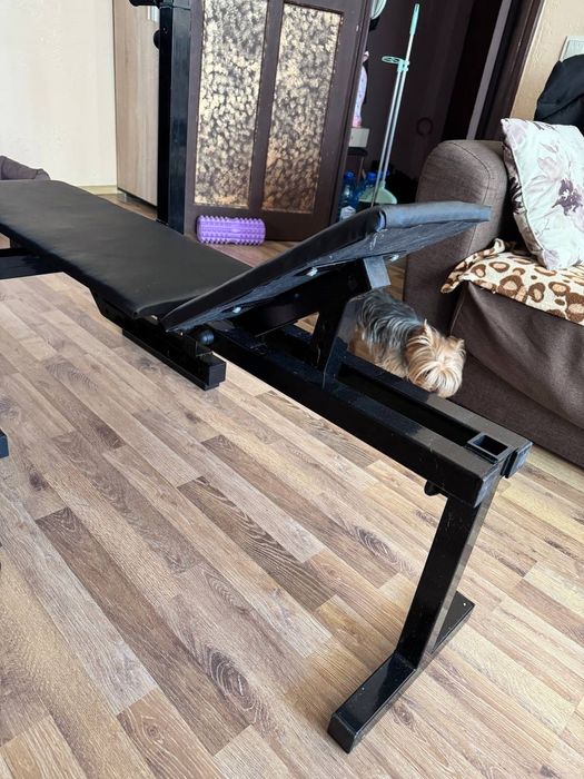 Лава для жиму та присідань, набірні гантелі 2х50кг