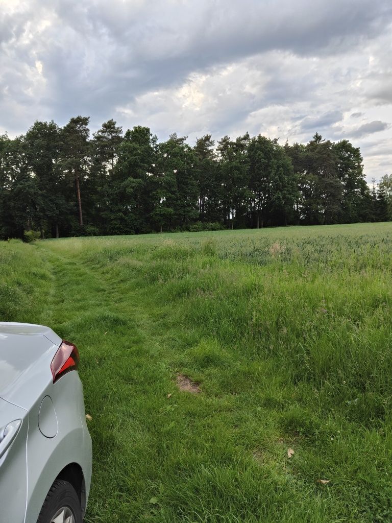 * Działka działki Rogoźna Żory 800 - 5000m2 wśród luźnej zabudowy *