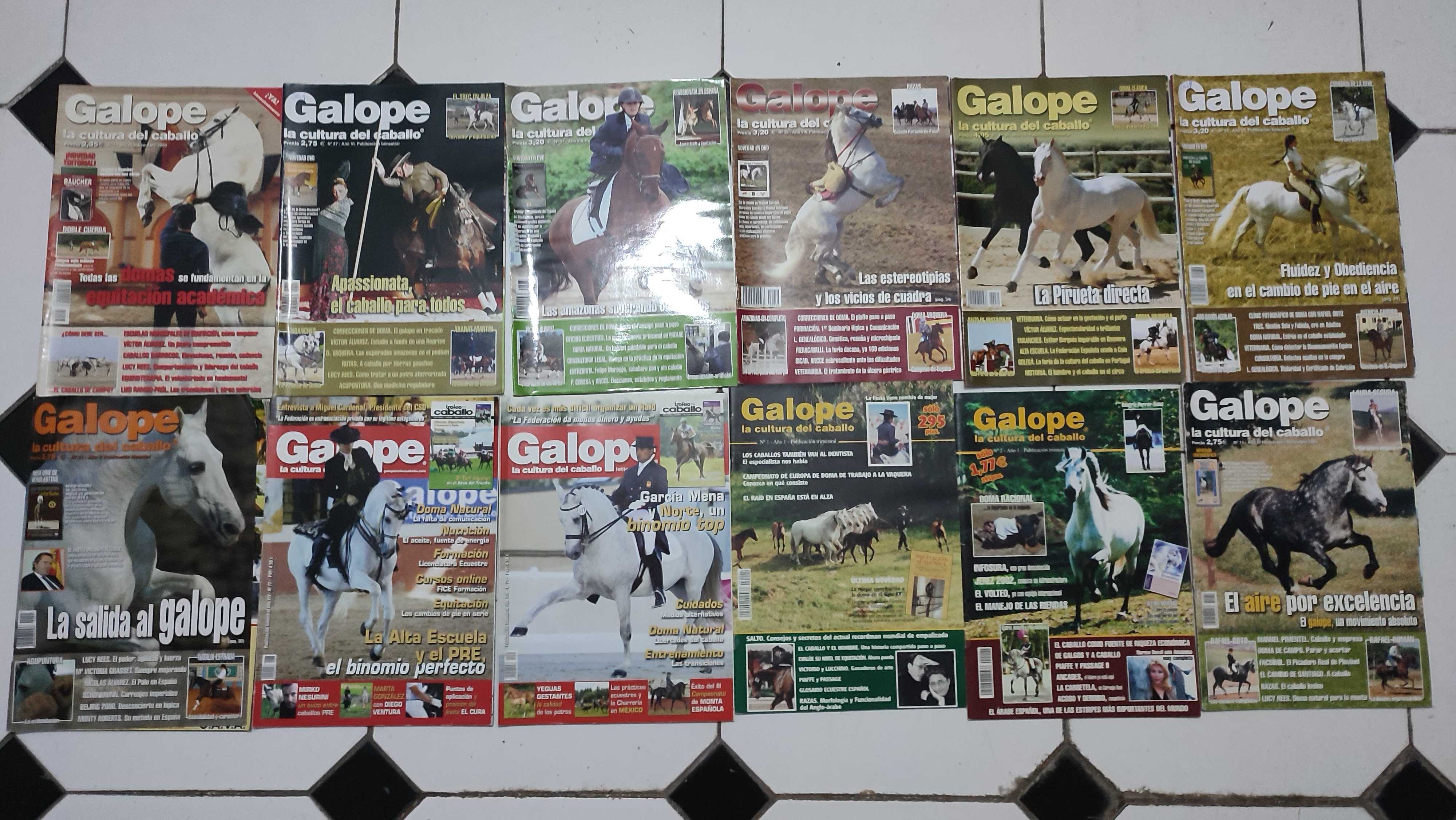 Lote 34 Revistas Galope