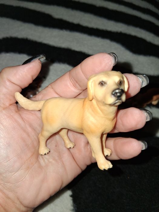 Coleção cães (12)