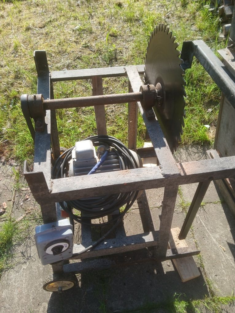 Cyrkularka krajzega