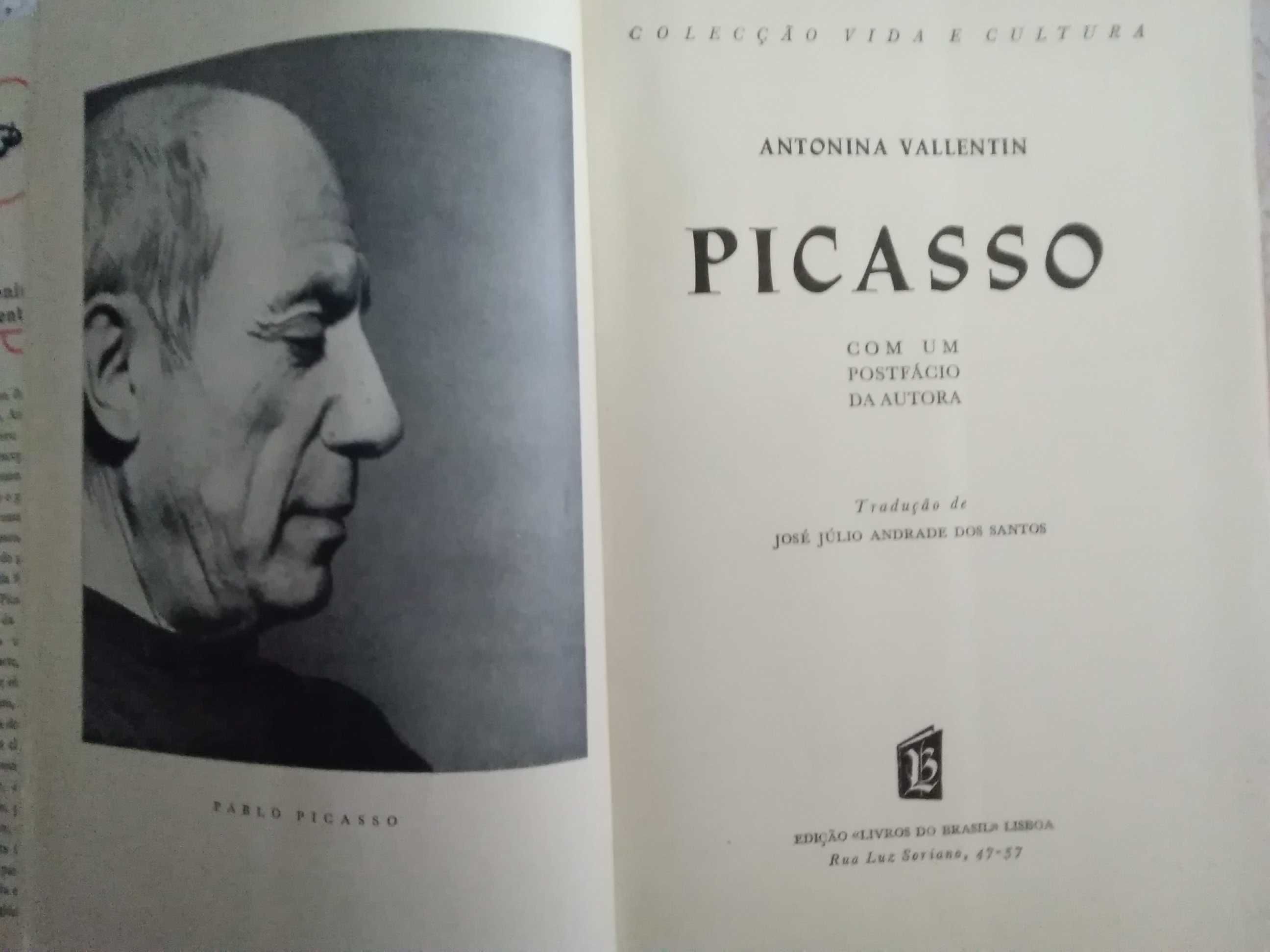 Picasso – A sua Vida e a sua Obra