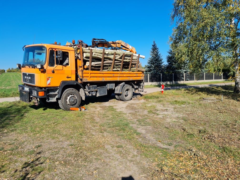 Transport hds drewno ziemia kłody karpy korzenie