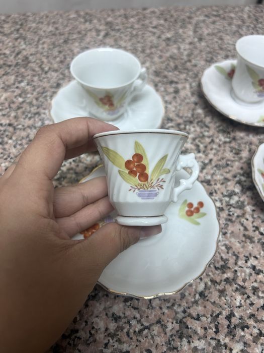 Conjunto 6 Chavenas com pires porcelana floral com bagas