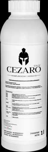 Cezaro 574 SC miotła zbożowa i inne jesień 2025