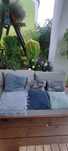 Oddam za darmo 6 poduszek Home and You