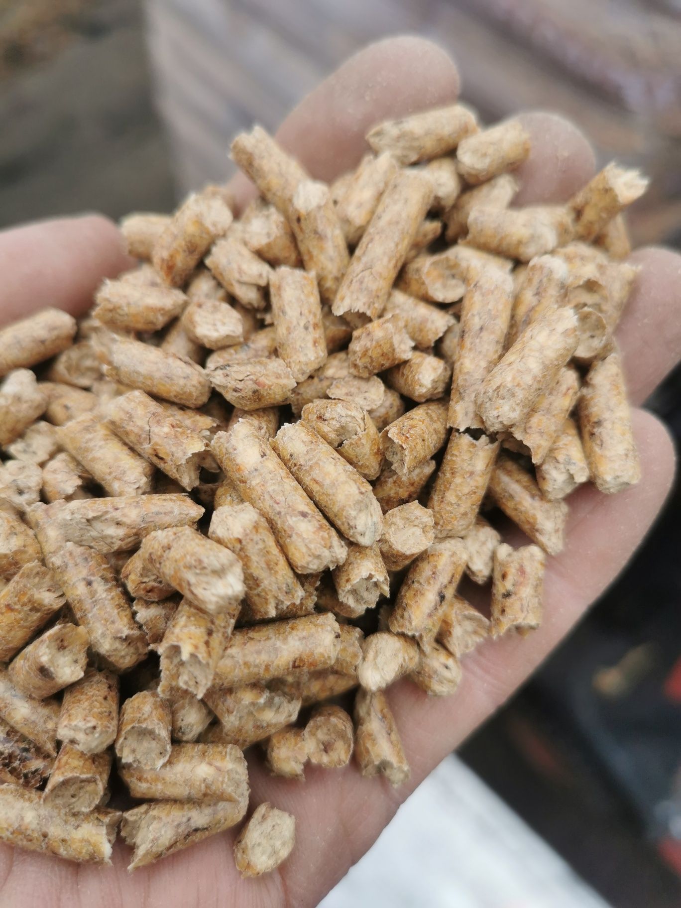 Pellet Sosnowy A1 Certyfikat Dartex Wilga