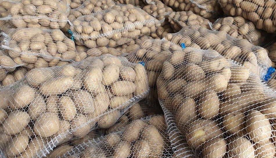 ZIEMNIAKI 15kg duże ładne białe bez nawozów i robaka irys warzywa irga