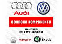 Ochrona komponentu ONLINE Audi Volkswagen Seat Skoda VW Immo Kodowanie