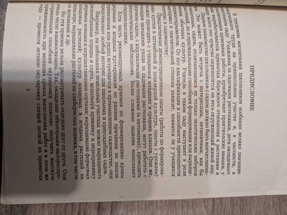 Опыты в школьном саду