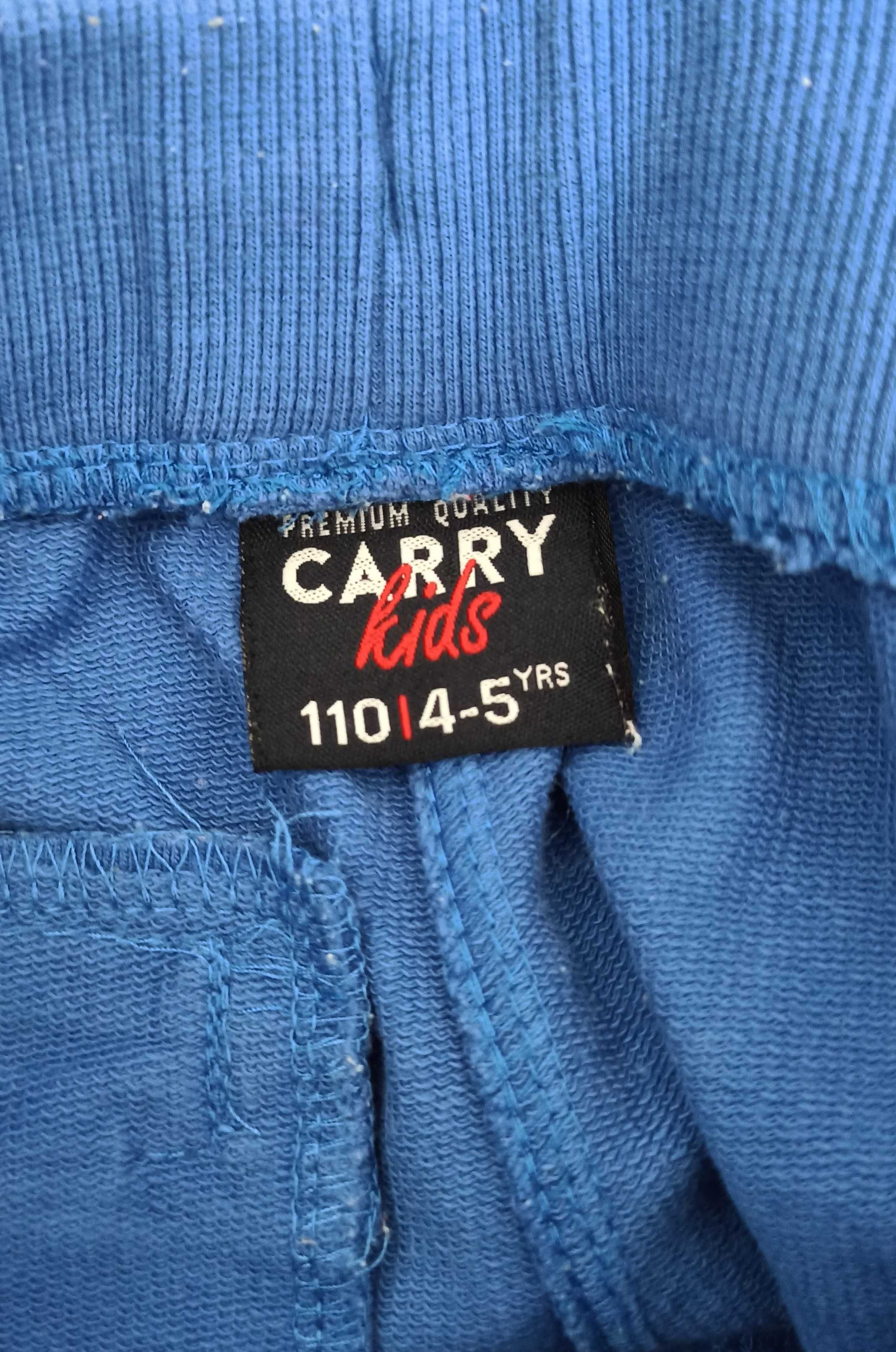 Spodnie Carry 110