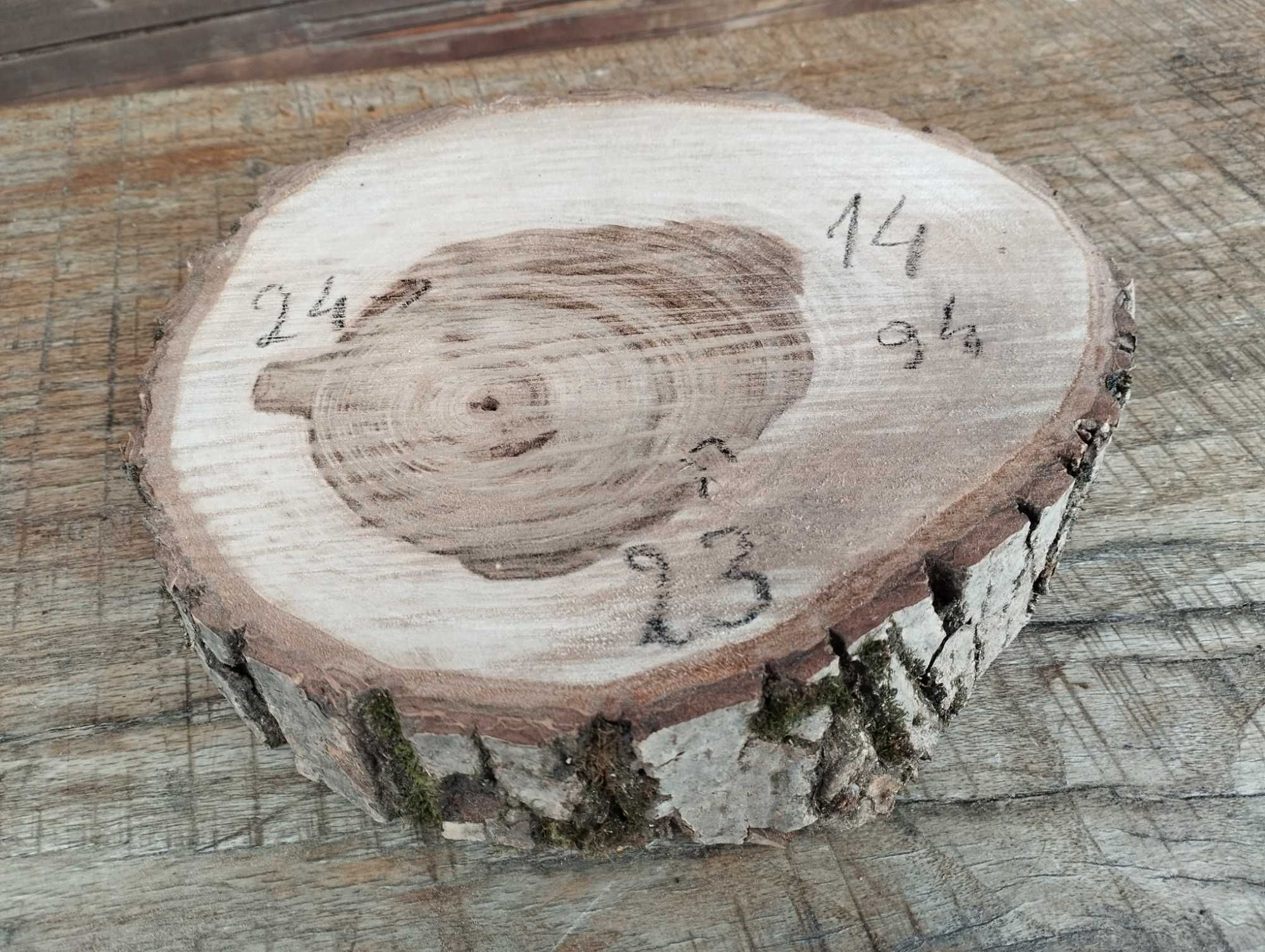 Plastry drewna DIY Piękny Orzech Szlifowany Wstępnie WYBÓR SZTUKI