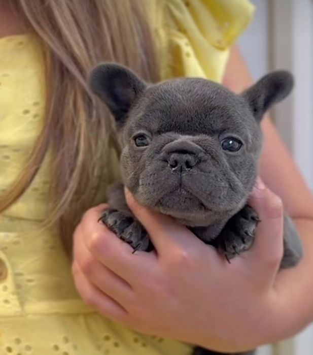 Блакитний хлопець ,