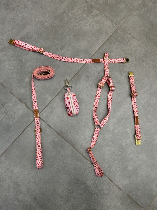 Szelki + obroża + smycz + etui na worki zestaw KISS THE DOG