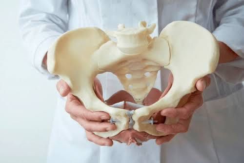 Fisioterapia do Pavimento Pélvico Feminino – Atendimento Privado