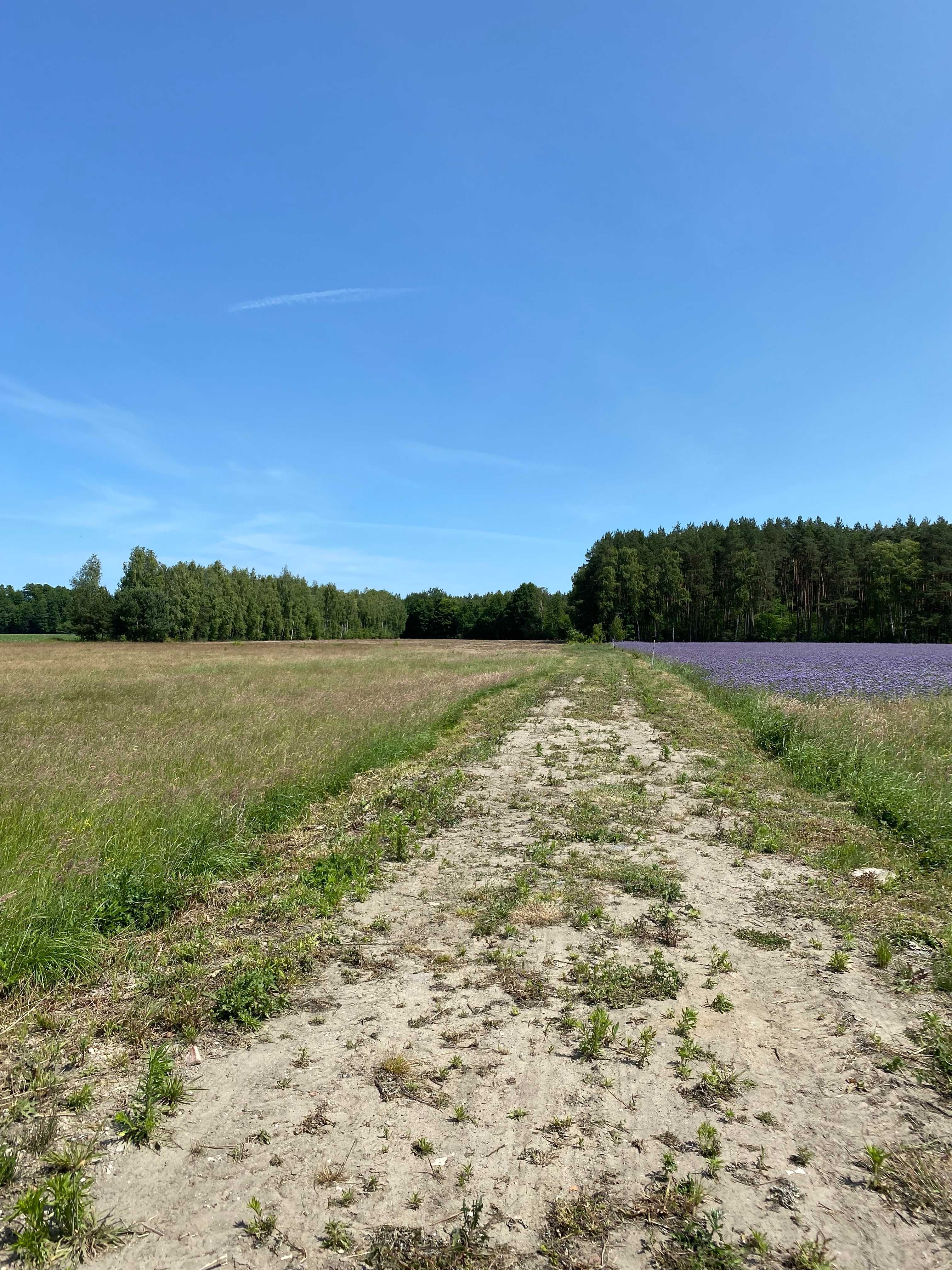 Twój zakątek - Łąkie, gm Skępe. Działki budowlane - jedyne takie.