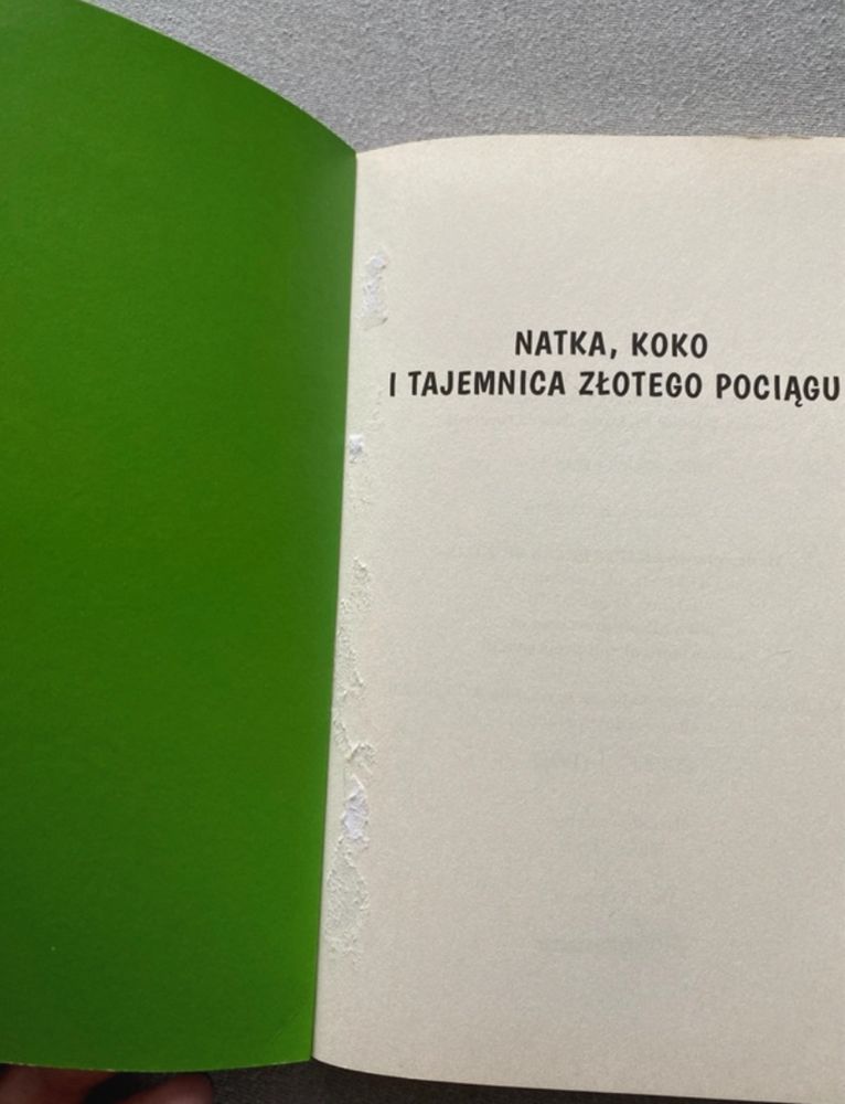 Natka, Koko i Tajemnica Złotego Pociągu