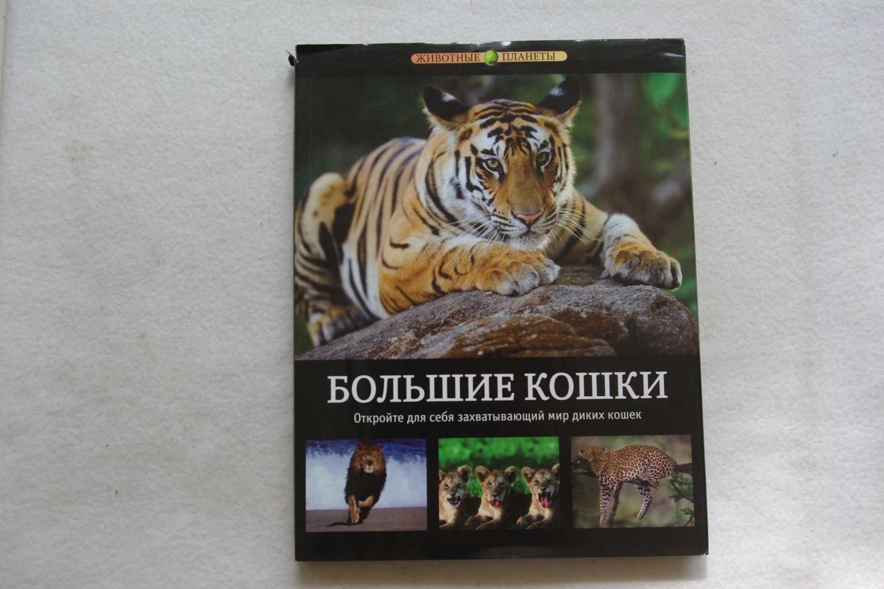 Большие кошки: иллюстрированная энциклопедия Серия: Животные планеты