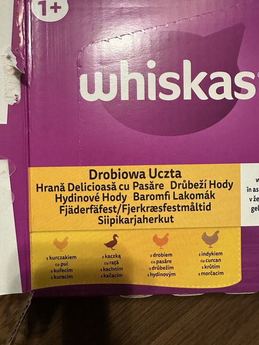 Sprzedam Whiskas mokra karma dla kota  80 sztuk
