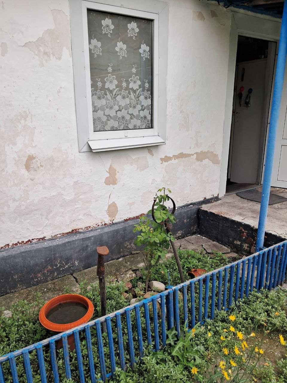 Продам дом в с. Новый Быков Нежинского района