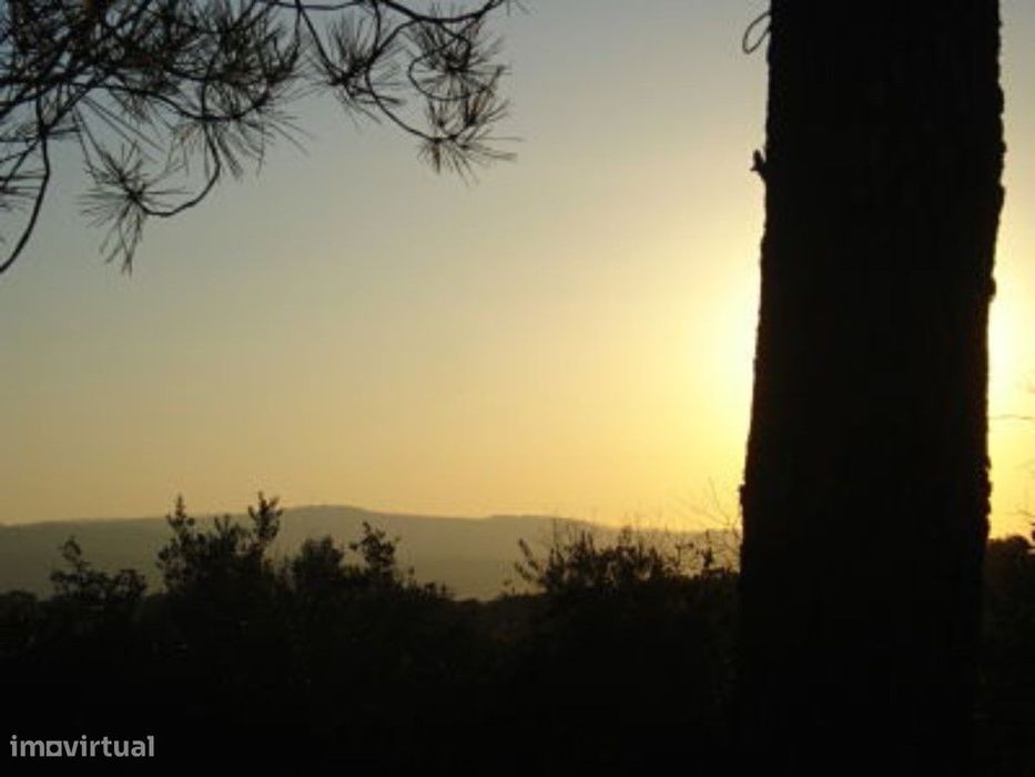 Terreno, 5.5 hectares, com possibilidade construção, Borba, Alentejo