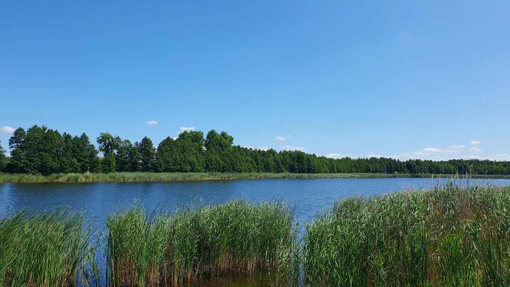 Dom nad jeziorem z linią brzegową