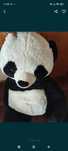 Panda    gigante