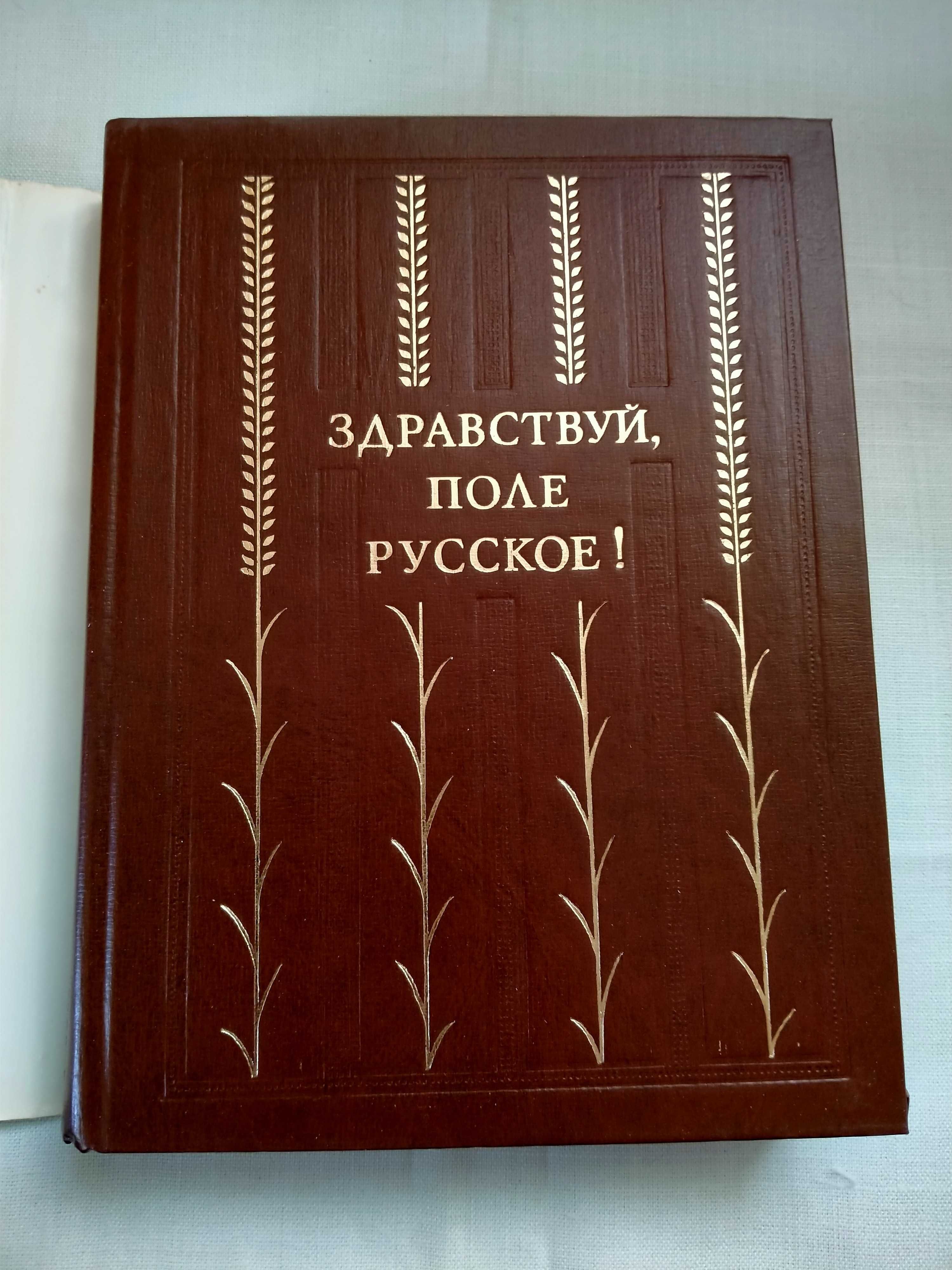 Сборник прозы и поэзии «Здравствуй,поле русское»