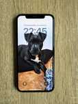 Iphone 11 Pro :)