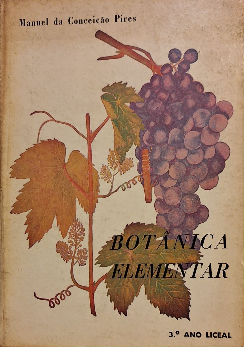 Botânica elementar 1971