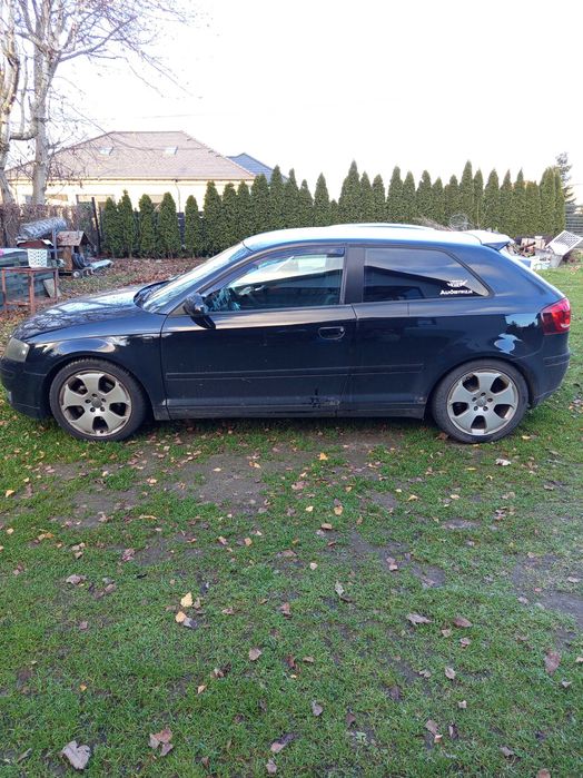 Audi A3 8P 1.6 MPI BGU 2003