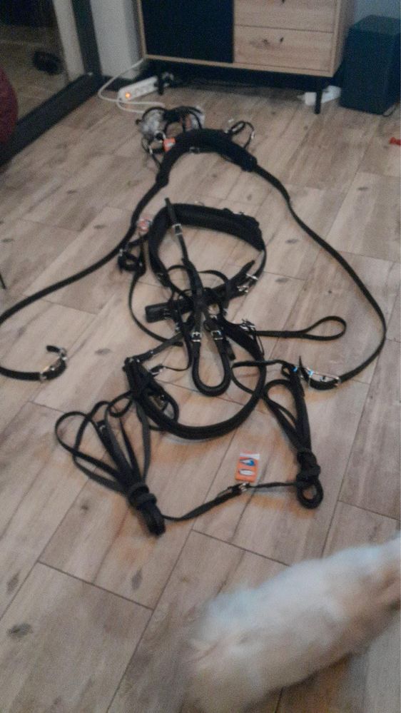 Uprząż syntetyczna jednokonna Arden Biothane Training rozm. Shety