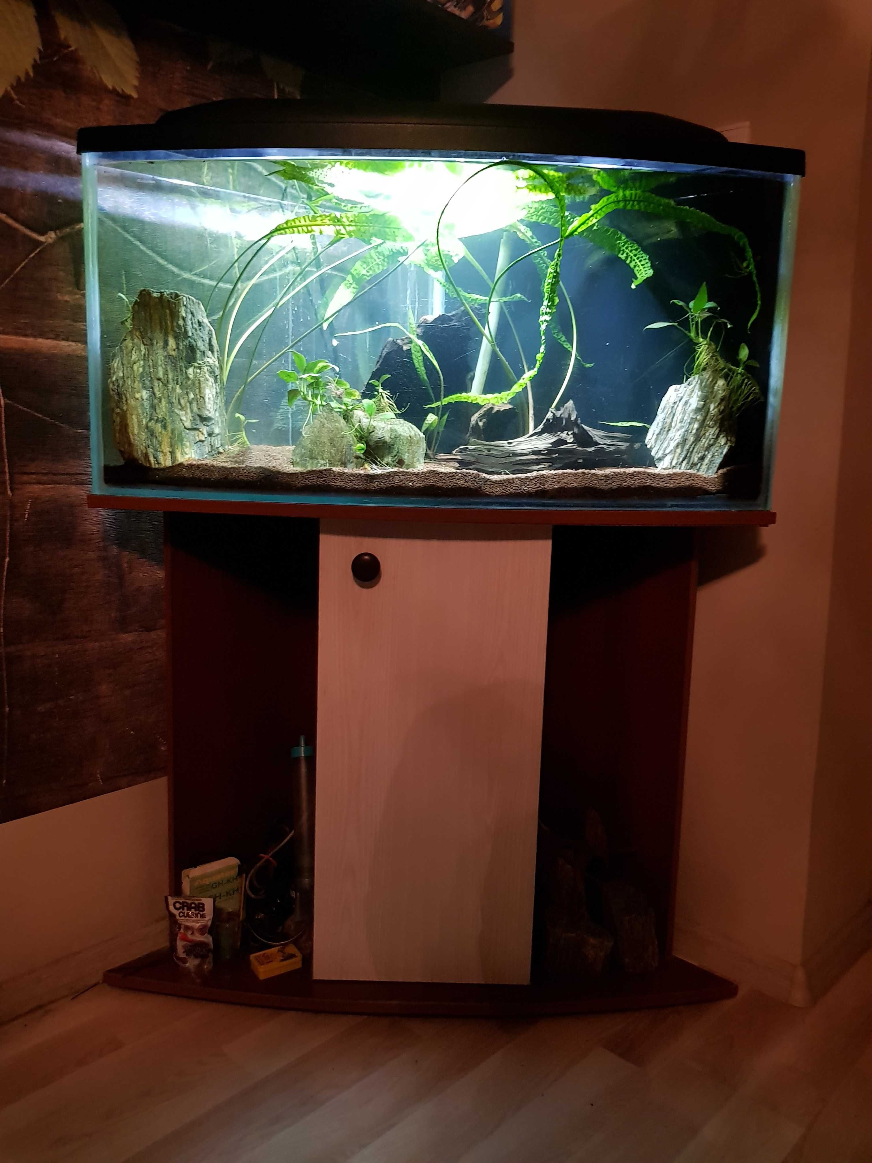 Akwarium ok. 130 l. plus akcesoria.
