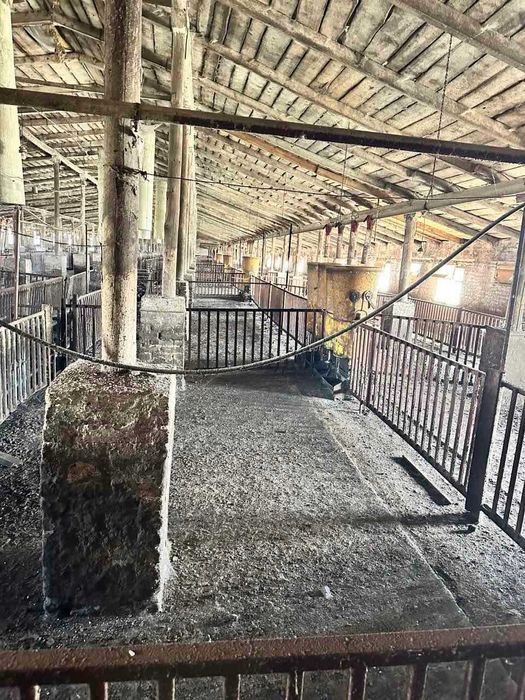 ОРЕНДА, ПРОДАЖ свиноферми