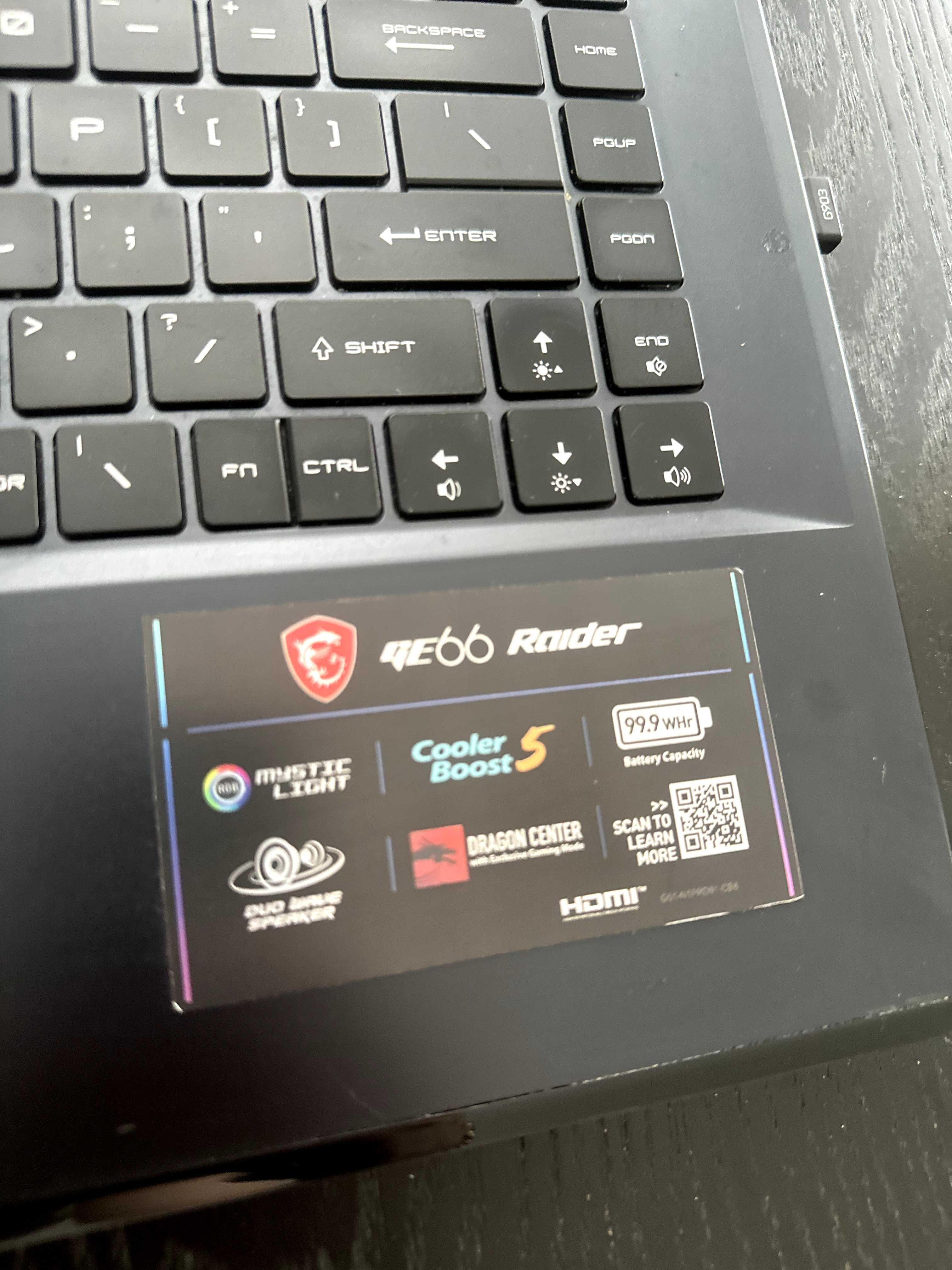 Laptop do gier MSI Raiders GE66 10SFS