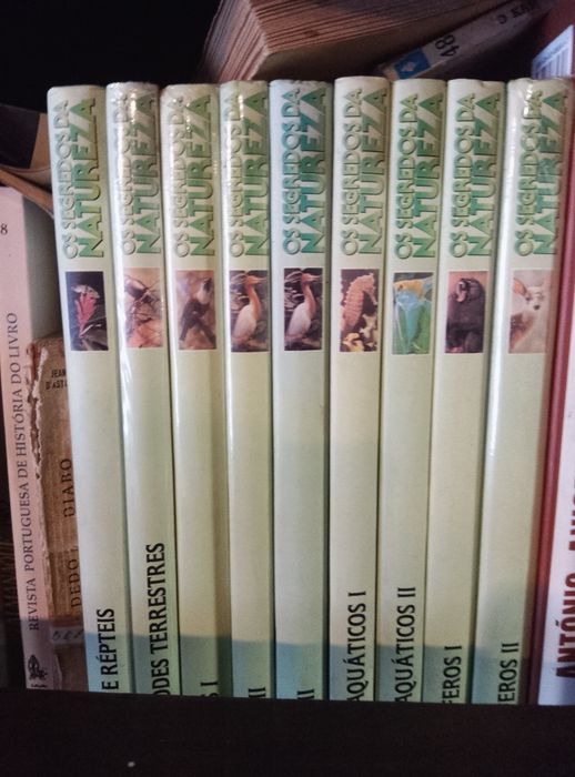 Vários livros de coleção