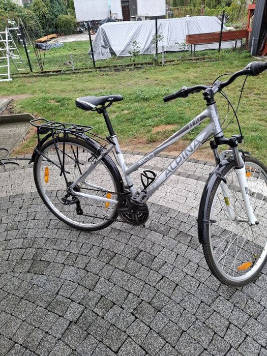 Rower Alpina eco
