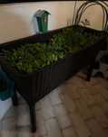 Horta Vertical 113X48