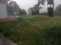 Limpeza de terrenos