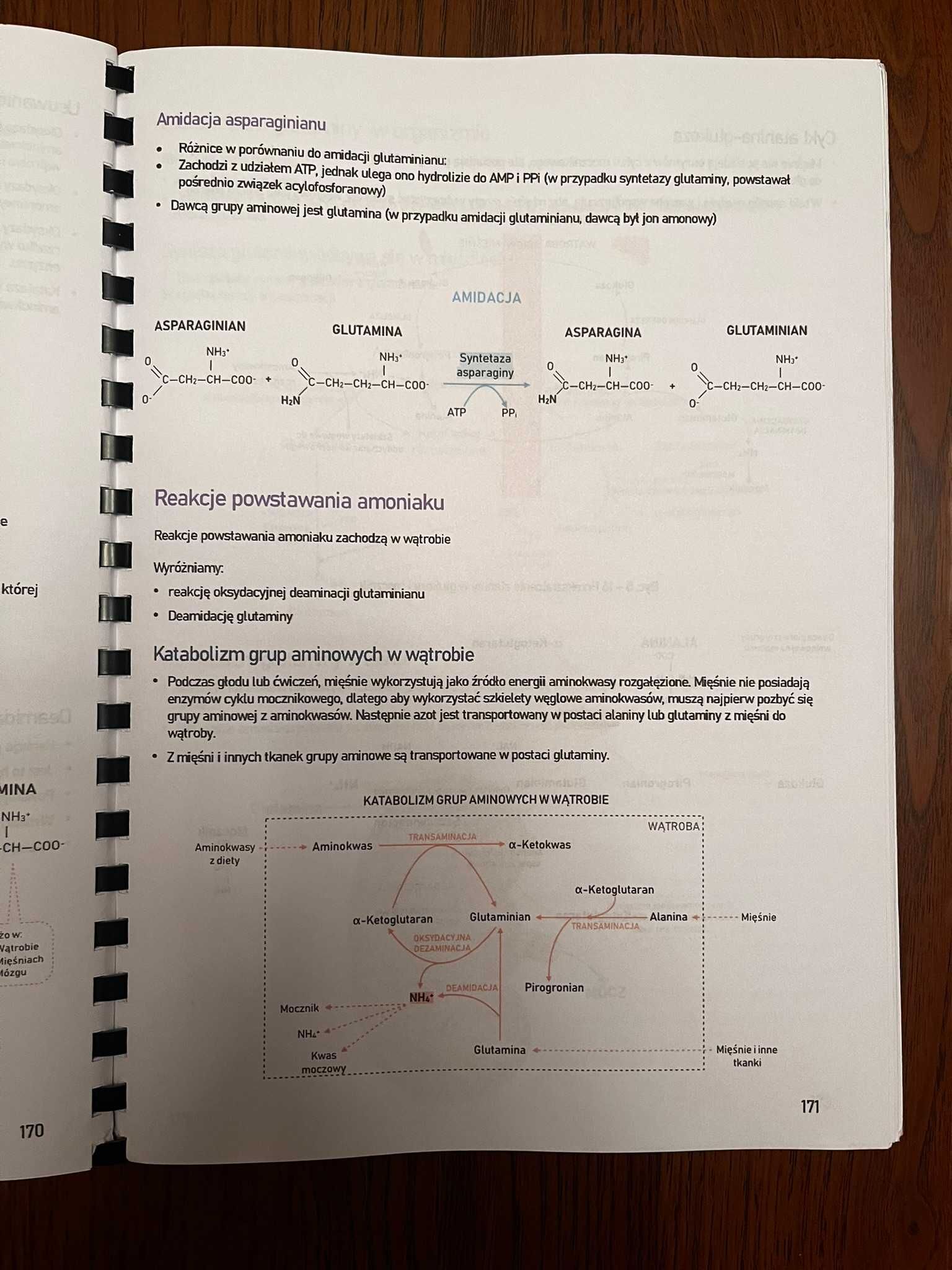 Biochemia całkowita Tom I i II