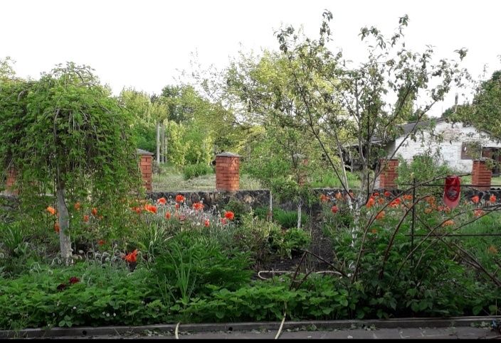 Будинок з великою територією.