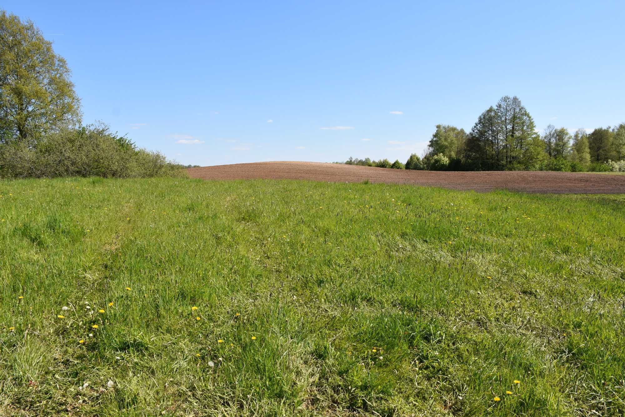 Wymarzona działka mazury Ełk Olecko jezioro las