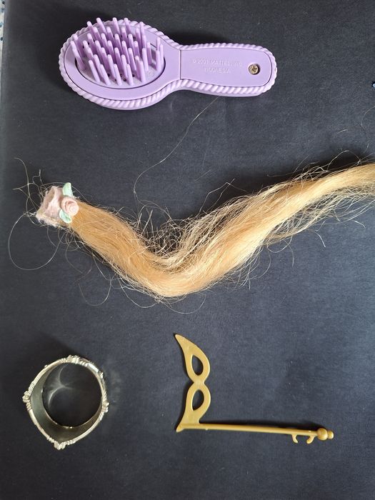 Lote de Barbies e Ken