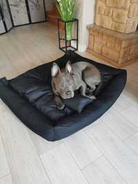 Komfortowe NOWE legowisko dla psa HAFT z imieniem + poduszka