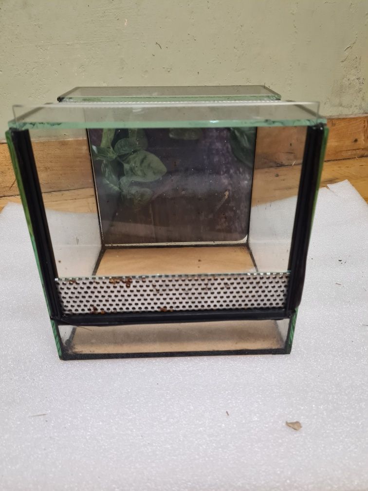 Terrarium 2szt. Używane