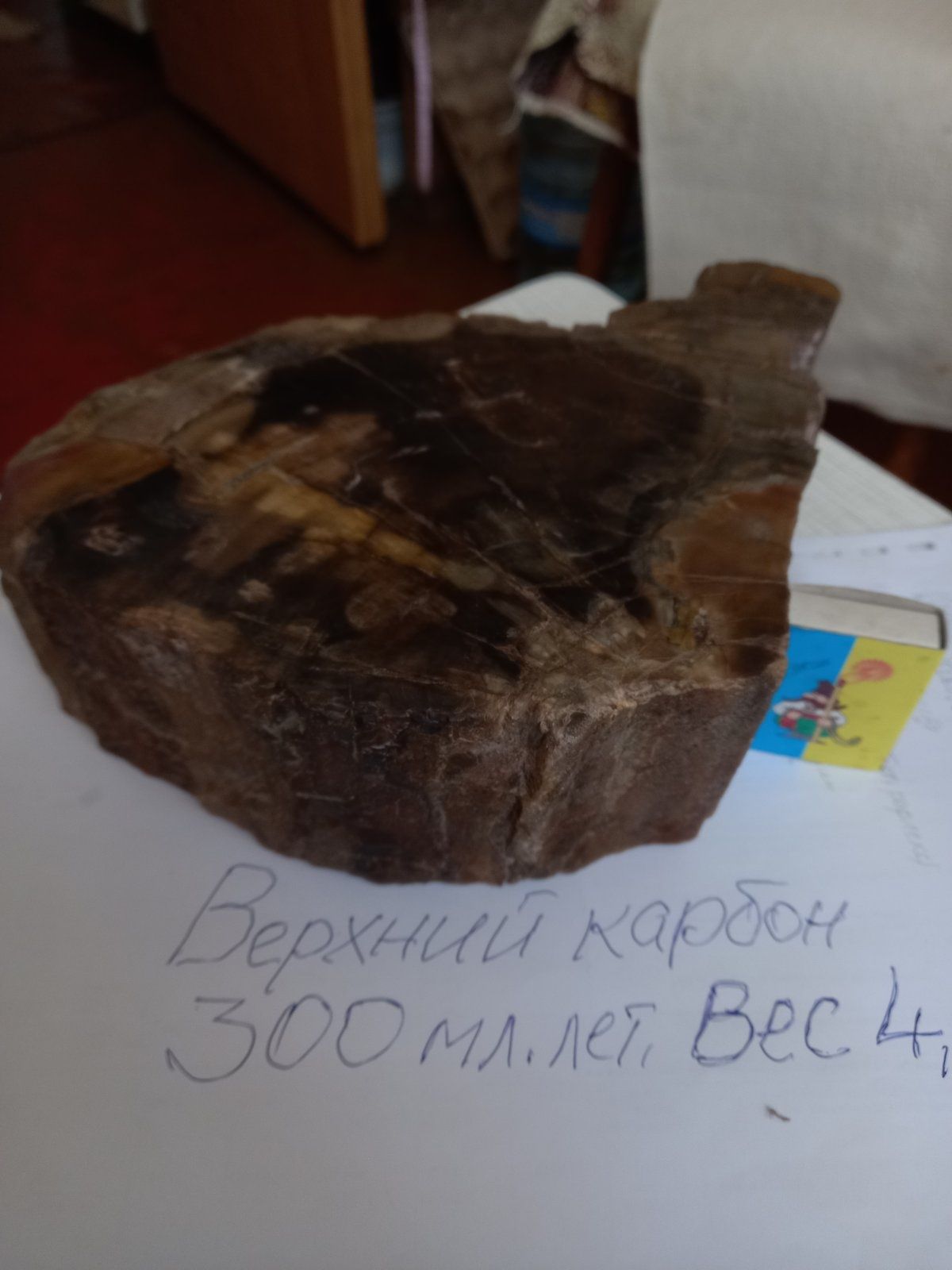 Продам окаменелое дерево из коллекции