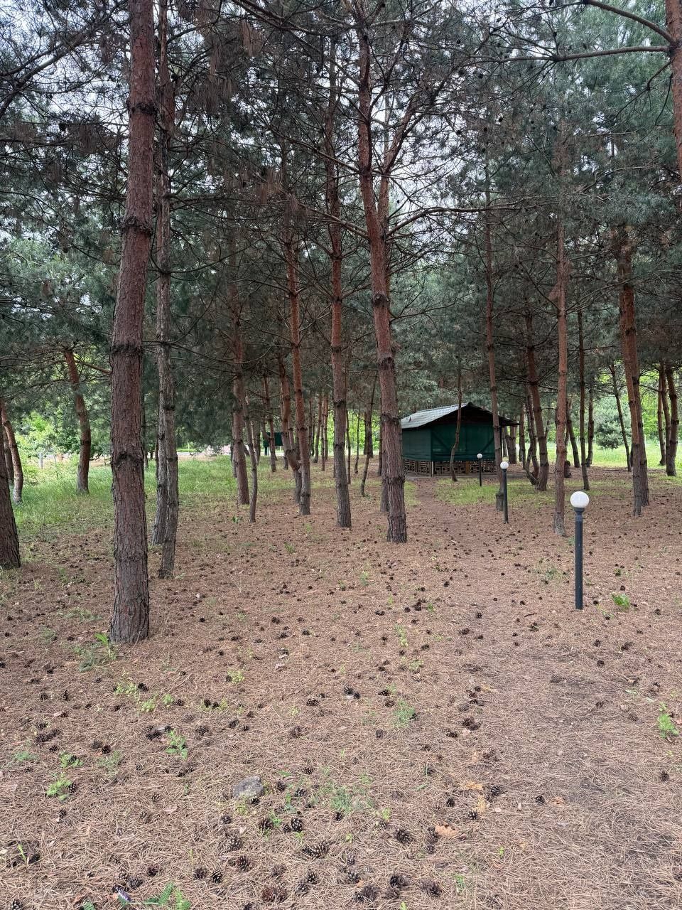 Будинок біля лісу