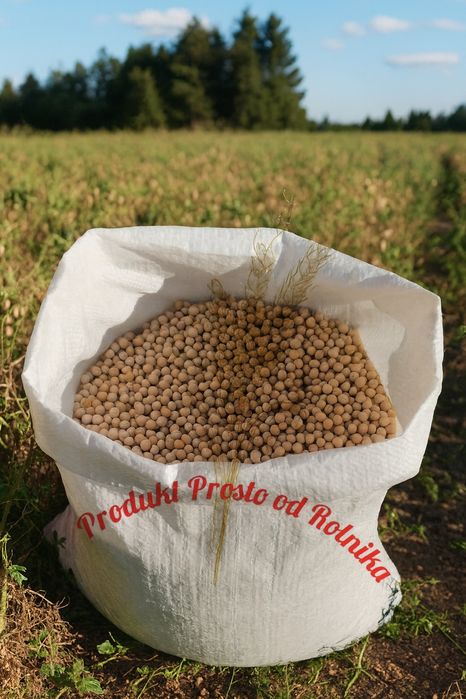 Groch opakowanie 25kg wysyłka natychmiast Inpost Na Pyszną Grochówkę